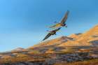 Sandhill cranes in flight formation. Bosque del Apache National Wildlife Refuge, New Mexico Art Print